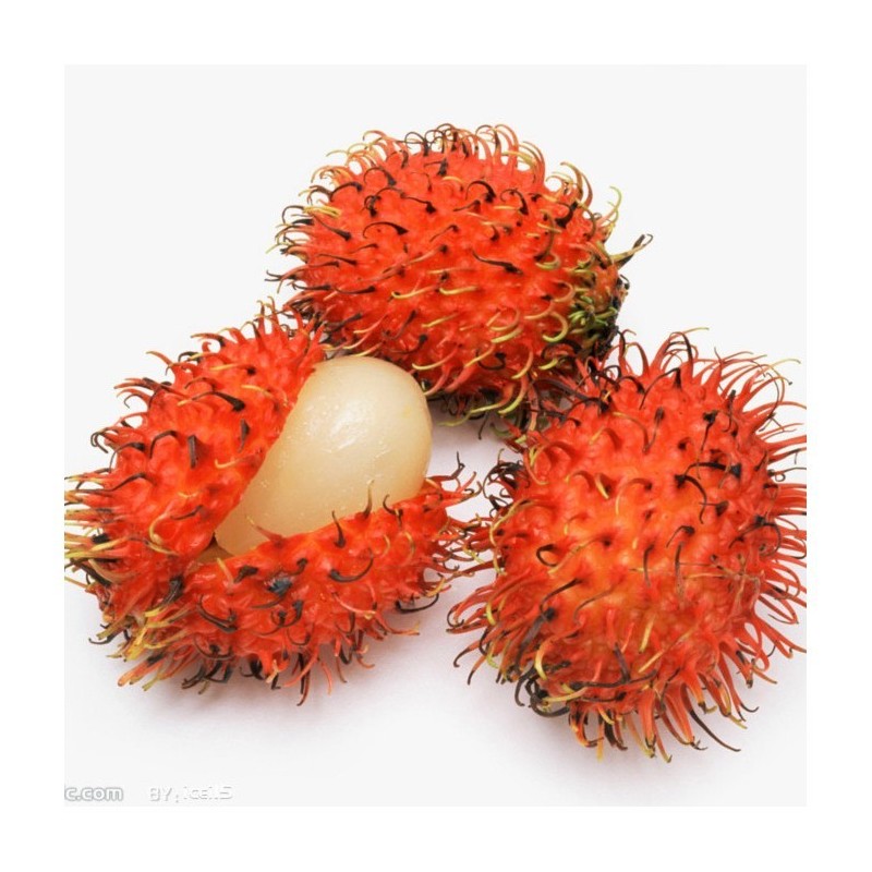 Ramboutan frais 1 pièce