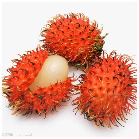 Ramboutan frais 1 pièce