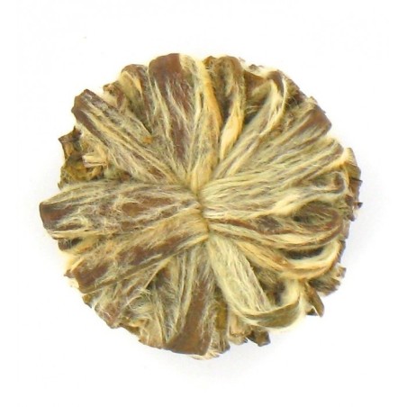 Thé blanc Fleur de prunier 1 fleur