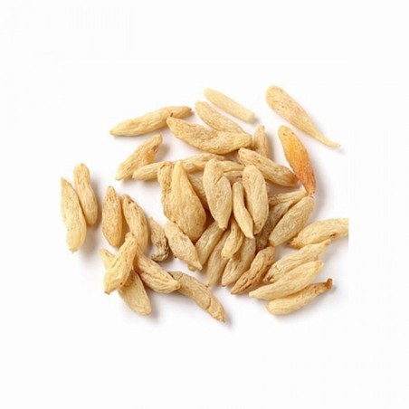 INFUSION OPHIOPOGONIS 100G