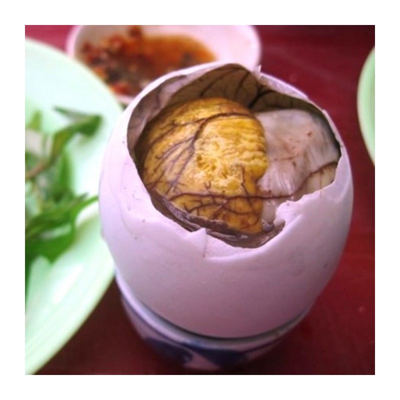 Œufs couvés frais- 6 Pièces