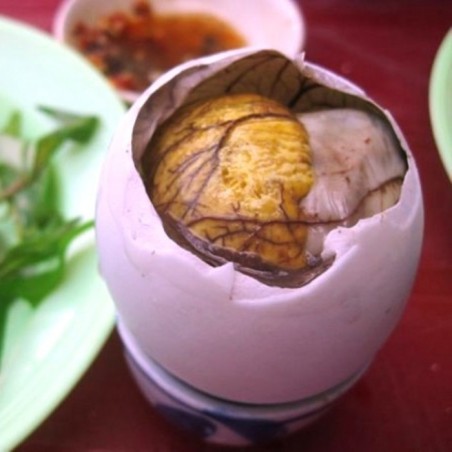 Œufs couvés frais- 6 Pièces