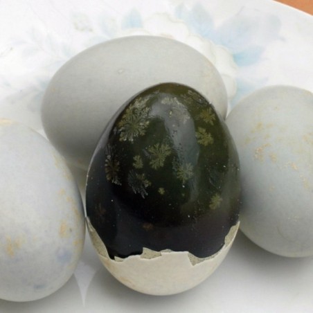Œuf de cent ans lot de 6 pièces