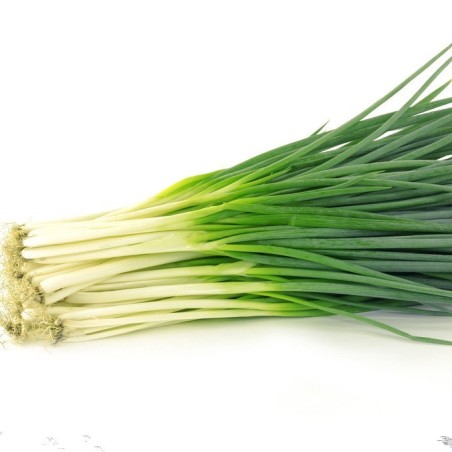 Ciboulette chinoise ( Cive)  100g