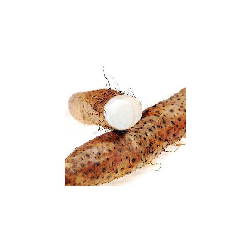 Igname de chine 500g