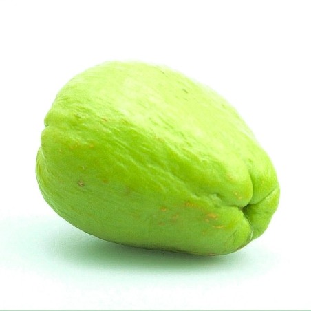 Chayotte (chouchou) unité