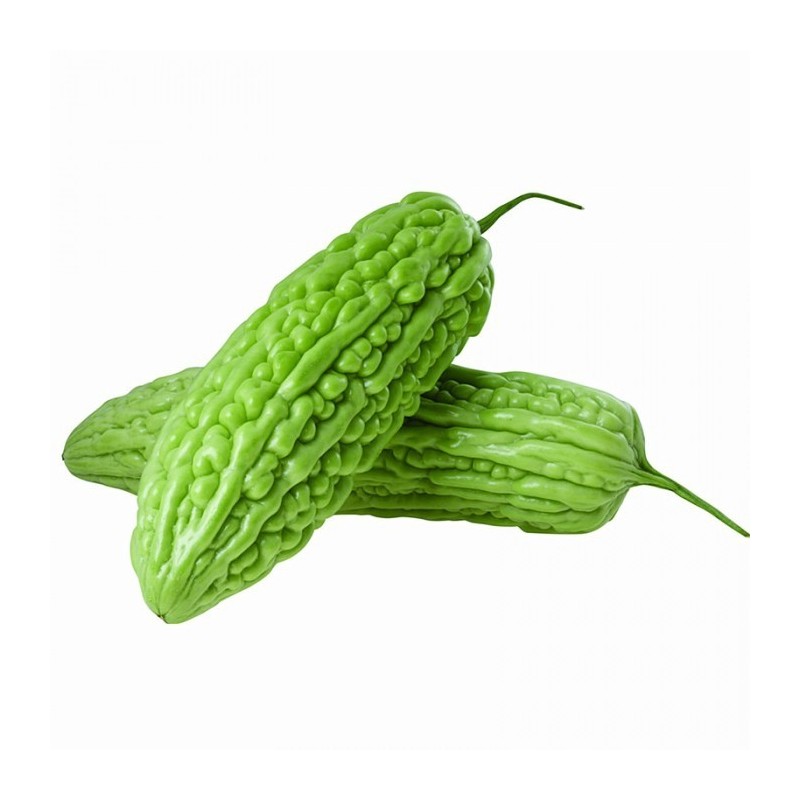 Concombre amer 1 pièce