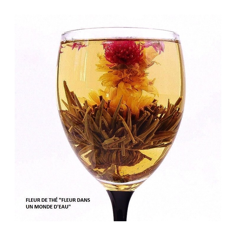 Fleur de thé 5 modèles