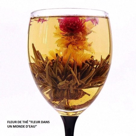Fleur de thé 5 modèles