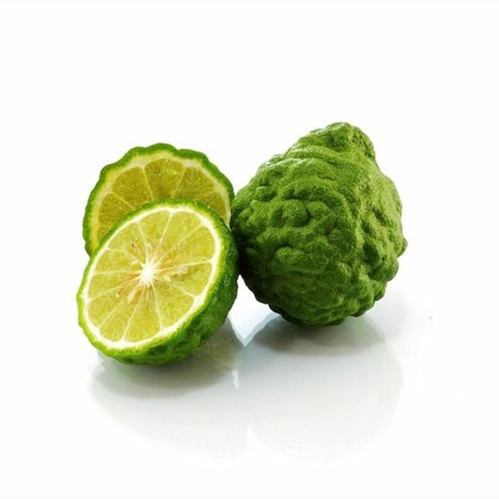 Fruit de combava frais 1 pièce