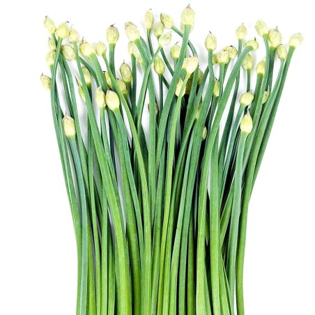 Fleurs d\'Ail (Bong He) 100g