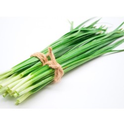 Queue d\'ail ( La He) 200g