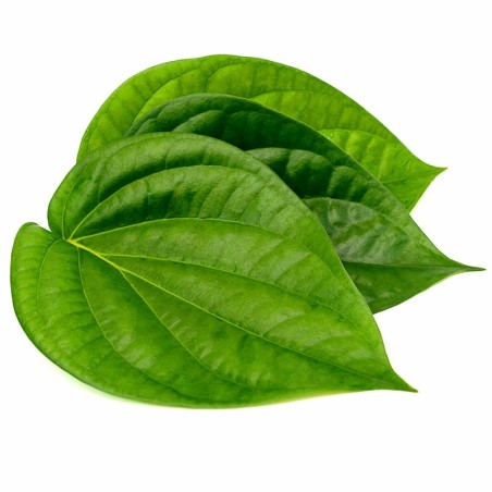 Feuille de Betel 100g