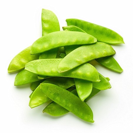 Haricots Coco plats -250g