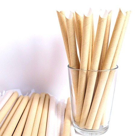 Pailles pour bubble tea x 20