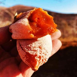 Kaki Séché "柿饼" (shì bǐng) 400g Eaglobe