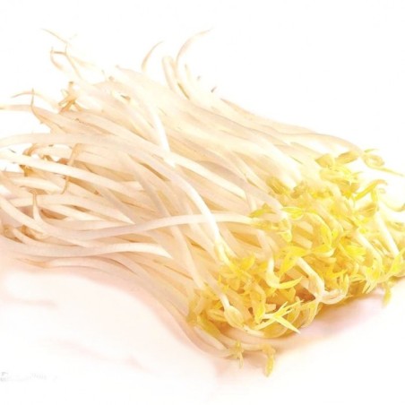 Pousse de soja (haricots mungo) 500g