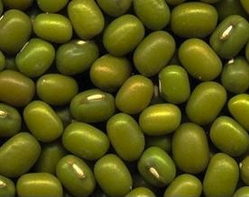 BAIN DE HARICOTS MUNGO DÉTERGENT