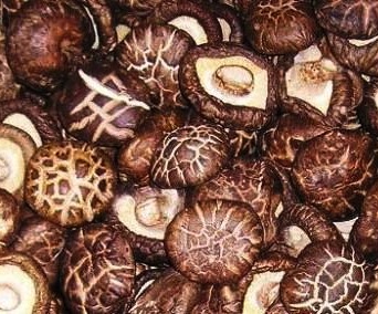 MASQUE DE CHAMPIGNONS PARFUMÉS CHINOIS (SHIITAKES)